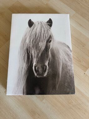 Black & White Horse Canvas Wall Art